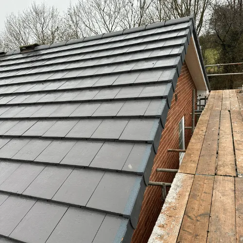 Recent roof project